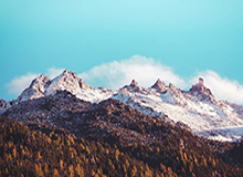 NG28-华体会官网:开启你的专业体育体验之旅